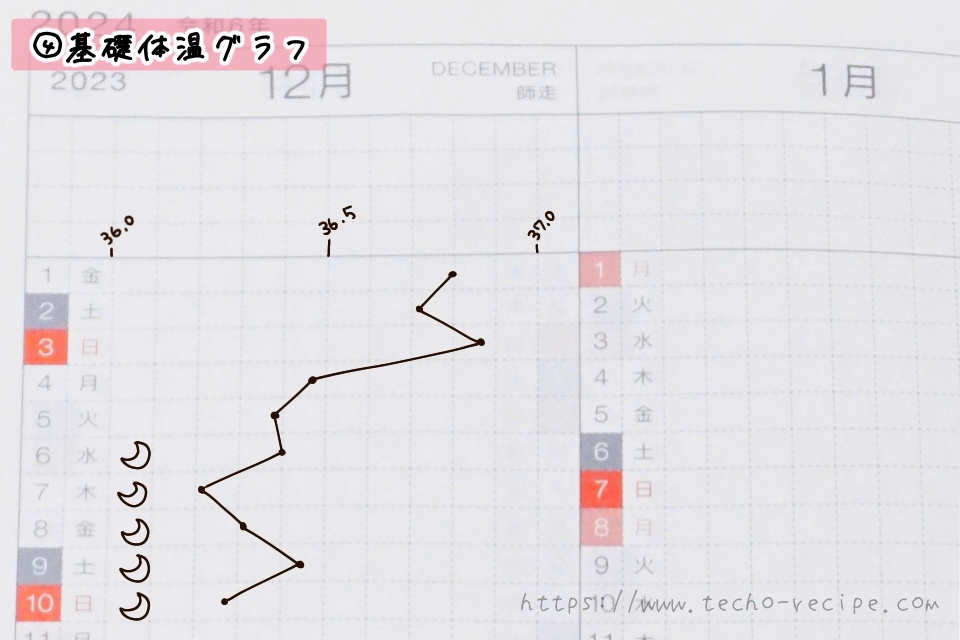 基礎体温グラフの記入例