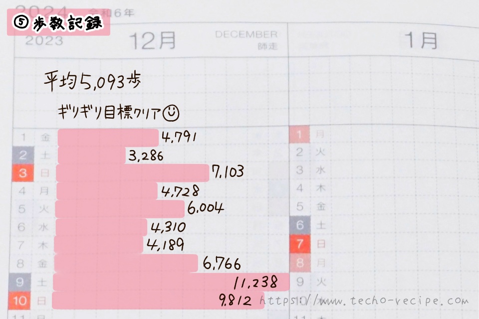 歩数記録の記入例