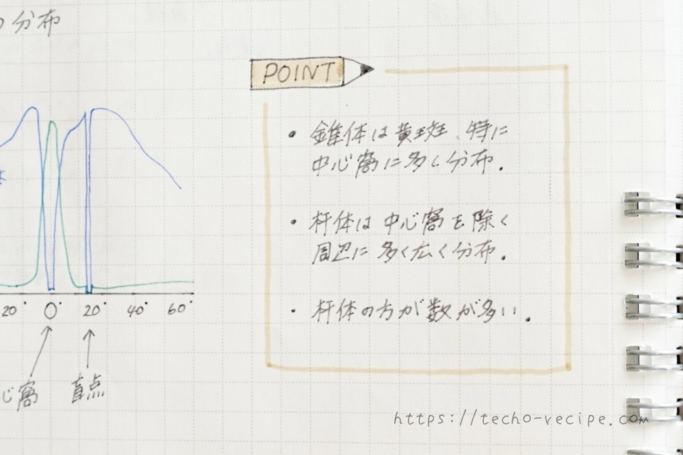 ポイントは書こうとわかりやすい