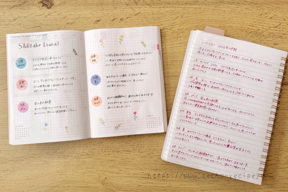 しいたけ占いの下書き