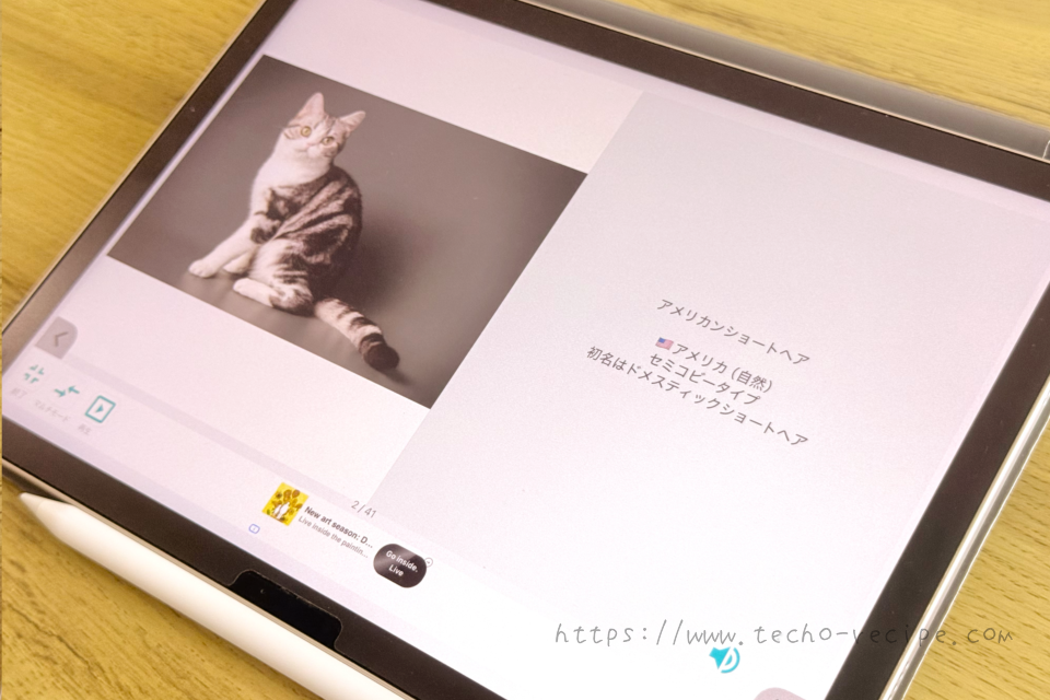 WordHolicの中身