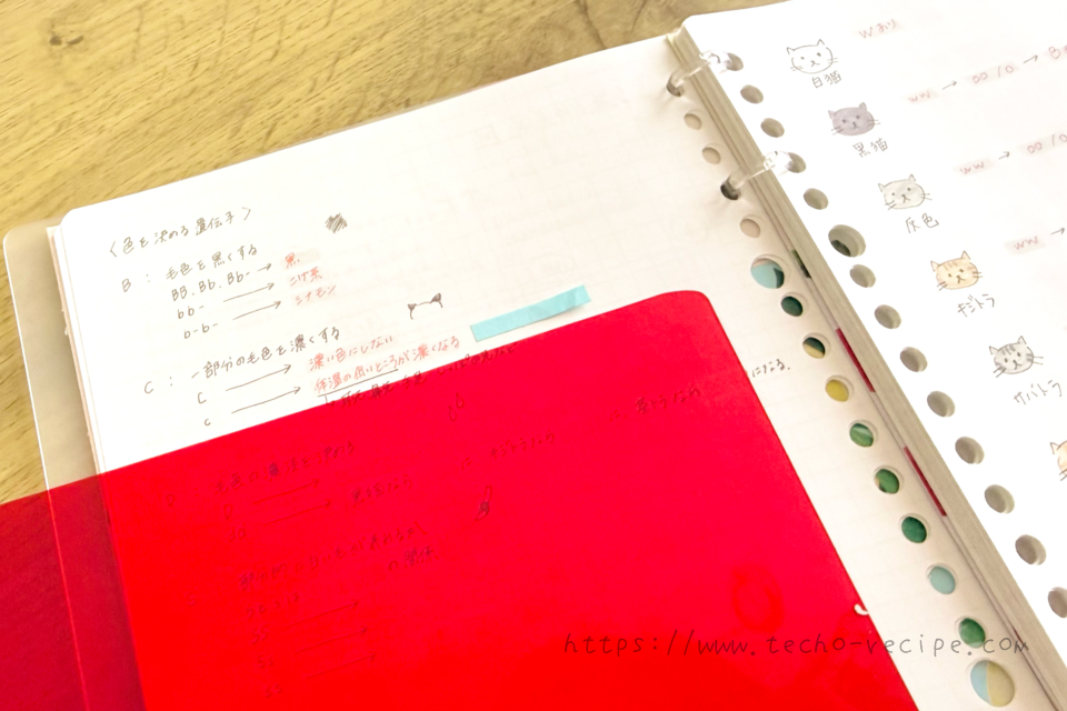 赤シートを使ってノートの内容を暗記
