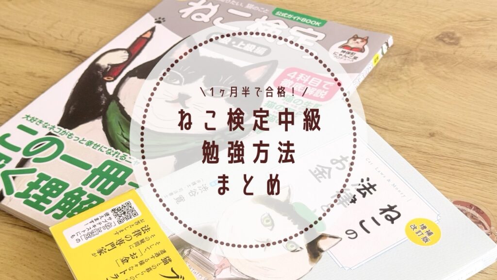 1ヶ月半でねこ検定中級に合格した勉強方法とスケジュール