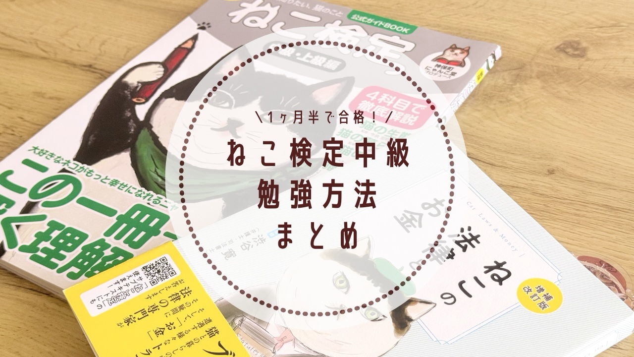 1ヶ月半でねこ検定中級に合格した勉強方法とスケジュール
